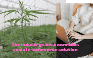 The Cannabis Business Social Network: The Best Ecommerce Platform for Cannabis Businesses