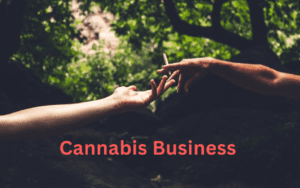 The Cannabis Business Social Network: The Best Ecommerce Platform for Cannabis Businesses