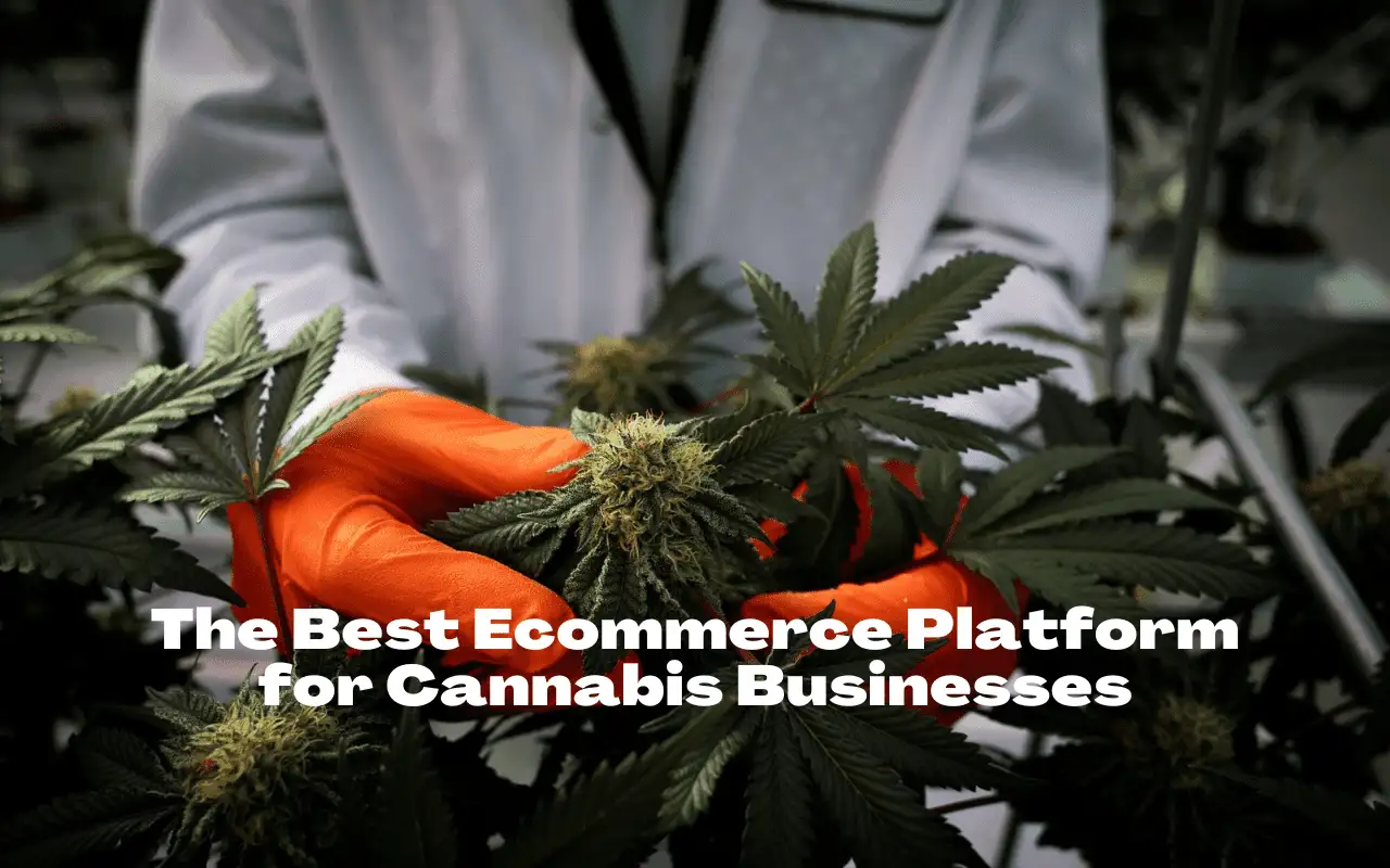The Cannabis Business Social Network: The Best Ecommerce Platform for Cannabis Businesses