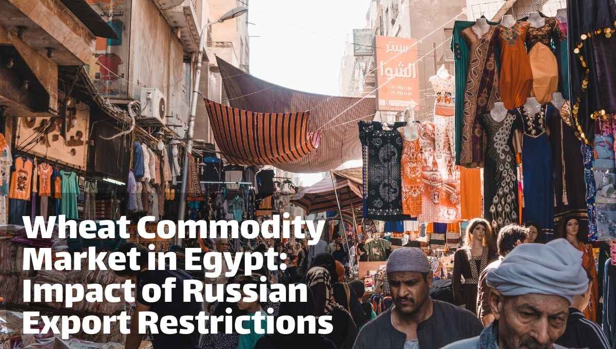 Wheat Commodity Market in Egypt: Impact of Russian Export Restrictions